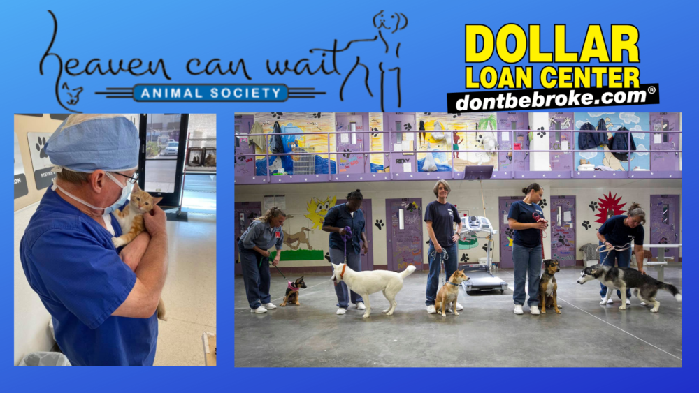 Heaven Can Wait Animal Society Announces New Partnership with Dollar Loan Center
