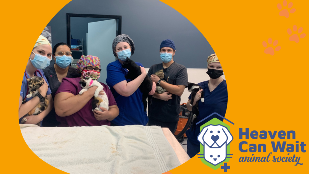 Dave & Cheryl Duffield Foundation Awards $900,000 Grant To Heaven Can Wait Animal Society