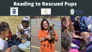 Elementary Students Participate in Second Annual "Reading to Rescued Dogs"