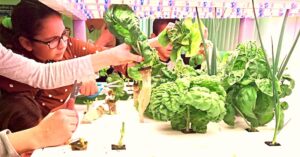 Green Our Planet Announces FREE Hydroponics Programs for All Nevada Title 1 Schools