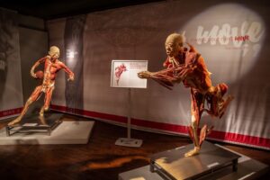 Vitalant Offers Unique Donor Gift to Bolster Local Blood Supply