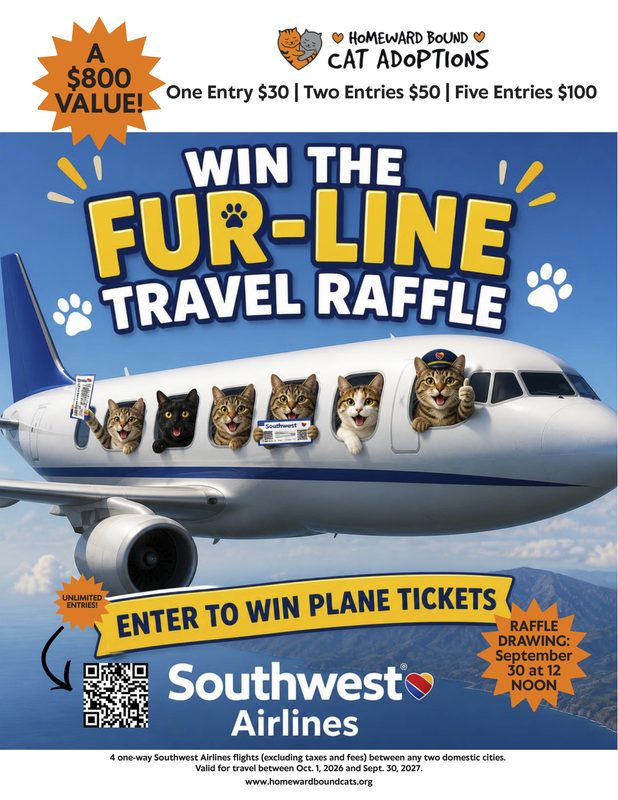 Homeward Bound Cat Adoptions Raffling $800 in Southwest Airlines Airfare — Drawing September 30
